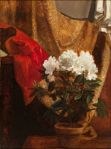 Still Life With Potted Flower Oil Painting by Blaise Alexandre Desgoffe