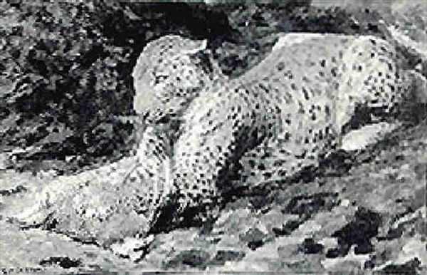 Leopard With Its Prey Oil Painting by Creswell Harley Desmond