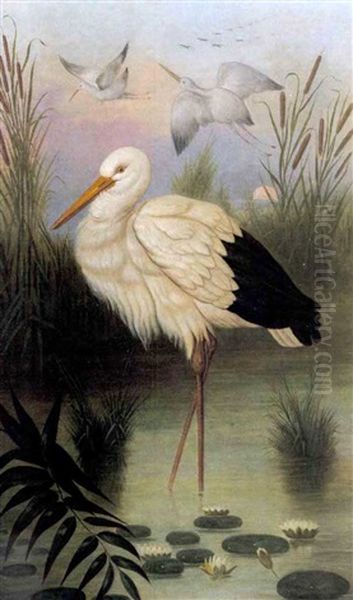 Crane In Marsh Oil Painting by Joseph Desport