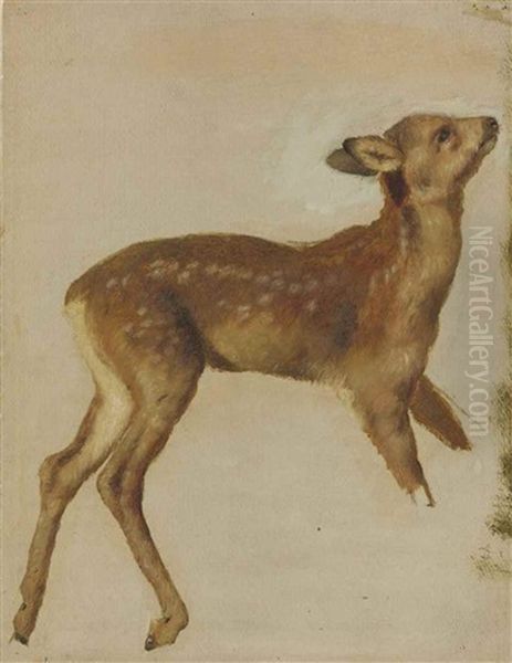 Study Of A Fawn Oil Painting by Alexandre Francois Desportes