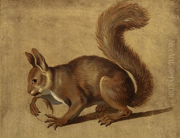 A Squirrel by Alexandre Francois Desportes