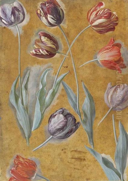 Study Of Tulips Oil Painting by Alexandre Francois Desportes