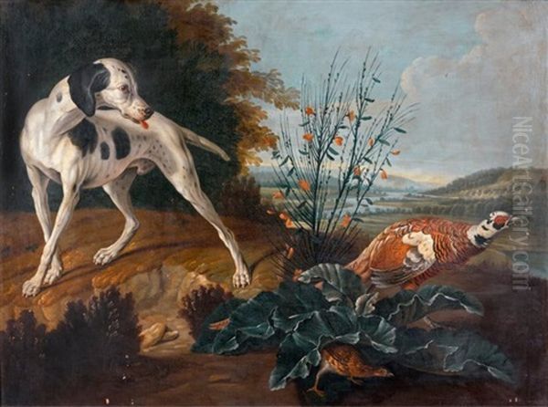 Chien En Arret Devant Une Poule Faisane Oil Painting by Alexandre Francois Desportes