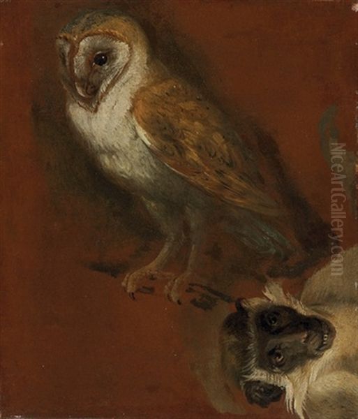 An Owl, With A Fragmentary Study Of A Monkey (study) Oil Painting by Alexandre Francois Desportes