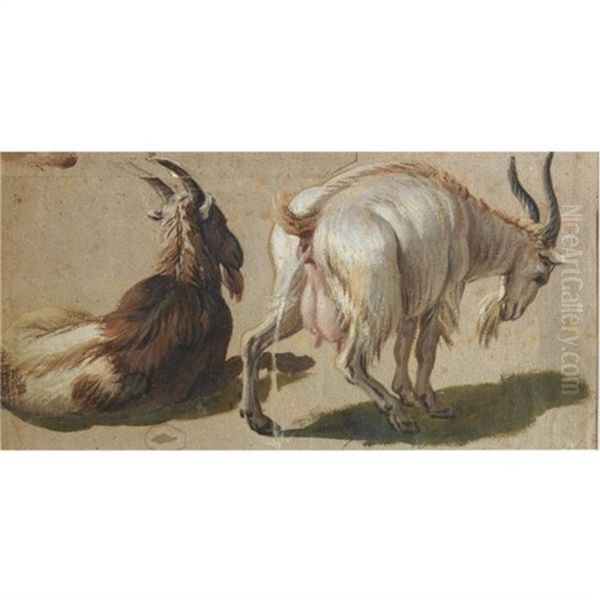 Two Goats (study) Oil Painting by Alexandre Francois Desportes