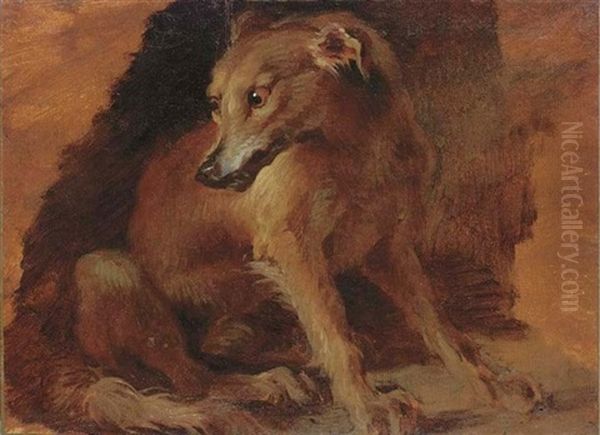 Study Of A Young Fox Oil Painting by Alexandre Francois Desportes