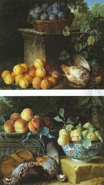 Nature Morte Au Panier De Quetsches, Aux Abricots Et Au Couple De Perdrix Oil Painting by Alexandre Francois Desportes