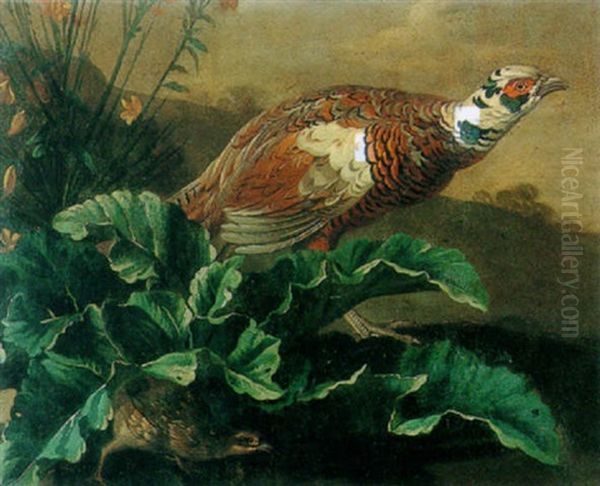 A Pheasant And A Partridge In A Landscape Oil Painting by Alexandre Francois Desportes