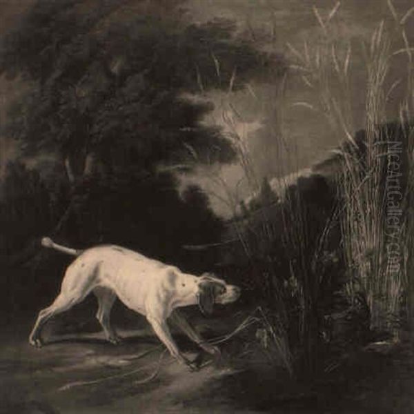 Chien A L'arret Devant Un Faisan Oil Painting by Alexandre Francois Desportes