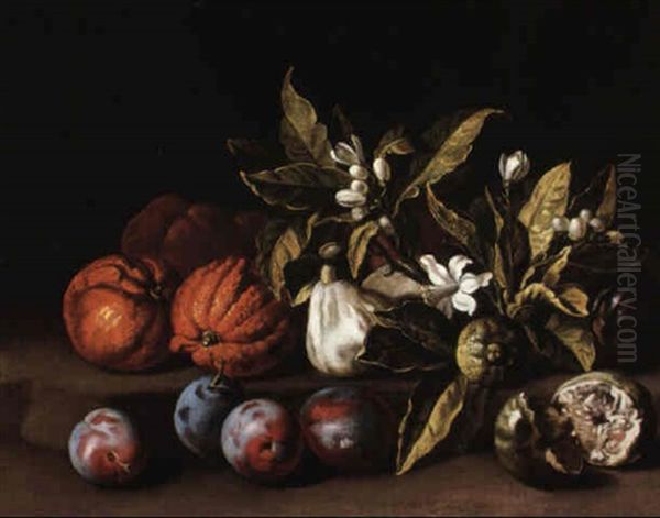 Still Life With Plums, Oranges And Orange Blossoms On A Stone Ledge Oil Painting by Alexandre Francois Desportes