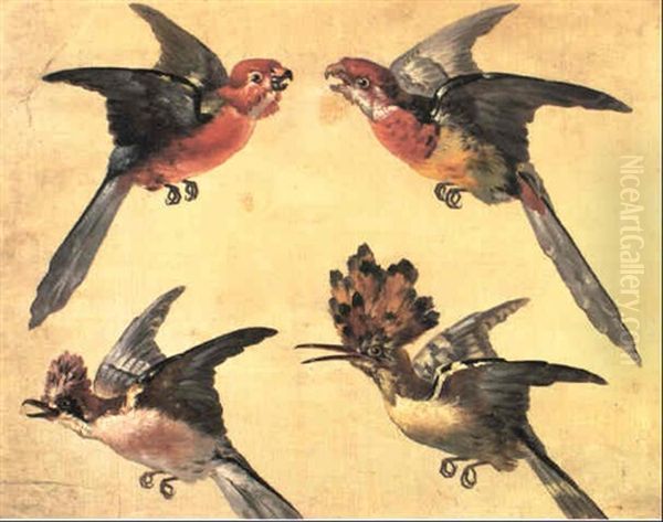 Etudes D'oiseaux: Deux Petits Perroquets, Une Huppe Et Un   Geai Oil Painting by Alexandre Francois Desportes