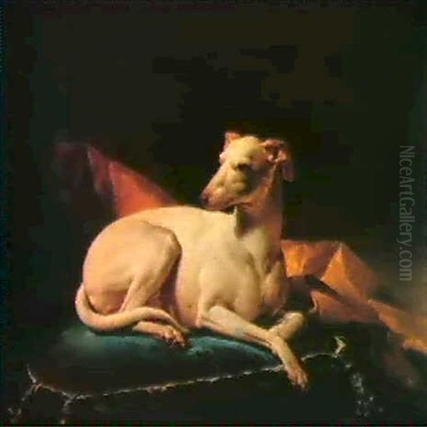 Chien Assis Sur Un Coussin Oil Painting by Alexandre Francois Desportes