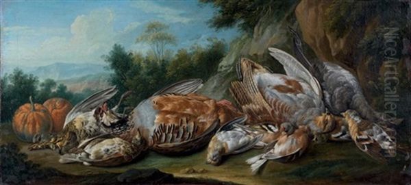 Nature Morte Aux Perdrix Et Potimarrons by Claude Francois Desportes