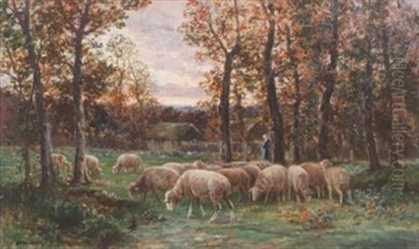 Sheep At Dusk Oil Painting by Raymond Desvarreux