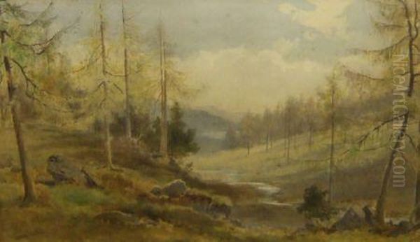 A Mountain Glen With Pine Trees Oil Painting by Edward Arden