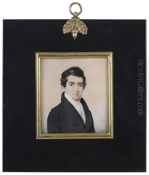 Portrait Of A Young Gentleman Of The Brown Family Of Philadelphia Oil Painting by Daniel Dickinson