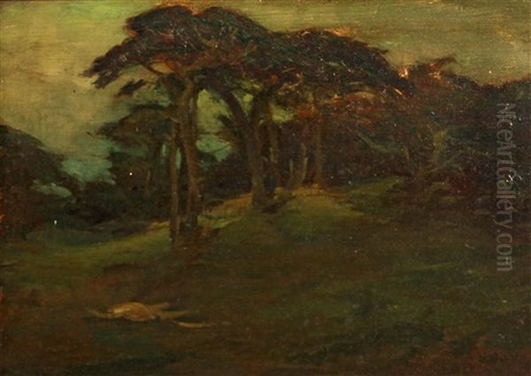 Cypress On Rolling Hills Oil Painting by Charles Dickman