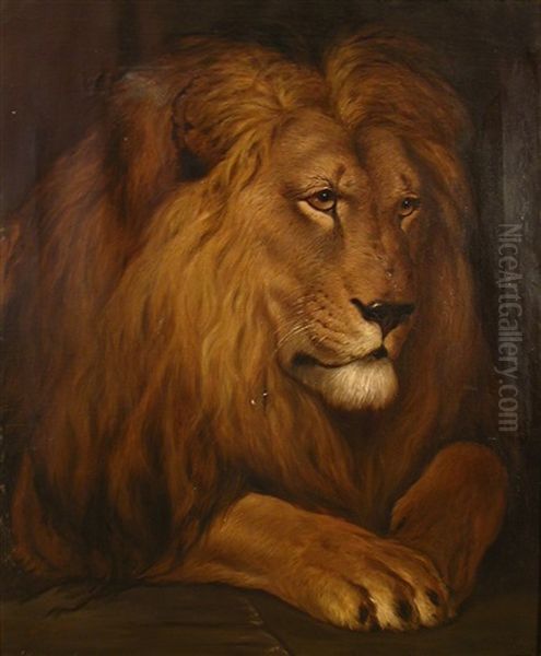 A Lion Oil Painting by Herbert Thomas Dicksee