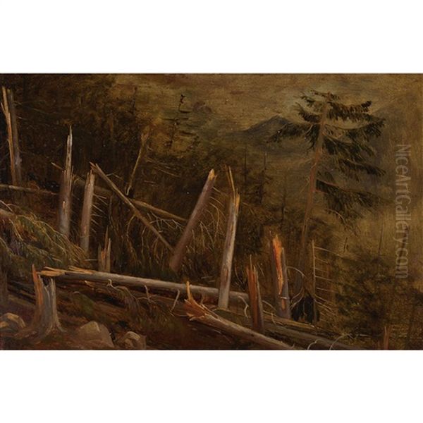 Foret Apres L'orage Oil Painting by Francois Diday