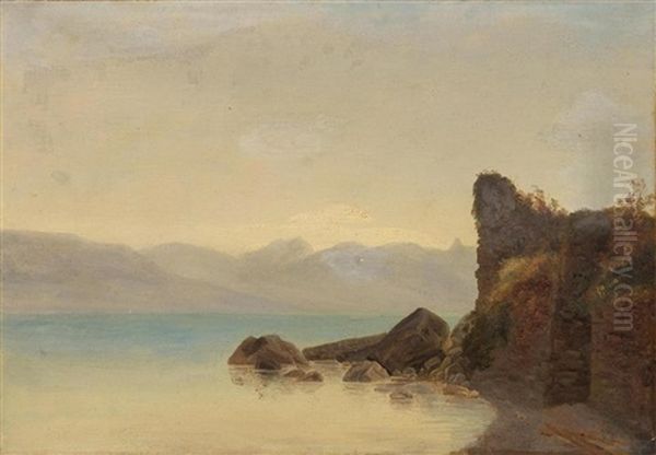 Felsige Uferpartie Am Lac Leman Oil Painting by Francois Diday