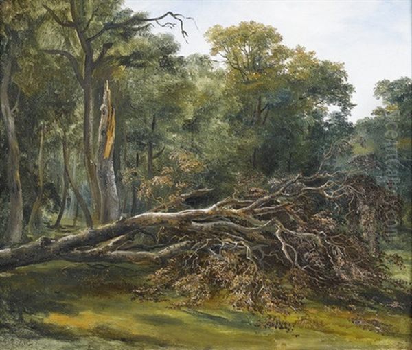 Sommerliche Waldlichtung Mit Einem Umgesturzten Baum Oil Painting by Francois Diday