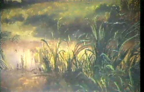 Schilfiges Flussufer Oil Painting by Francois Diday