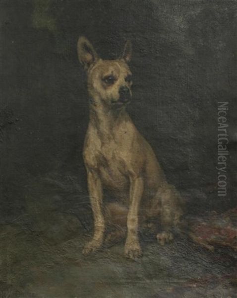 Portrait Of A Boxer Dog Oil Painting by Jules Didier