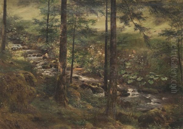 Le Ruisseau Dans La Clairiere Oil Painting by Anton Heinrich Dieffenbach