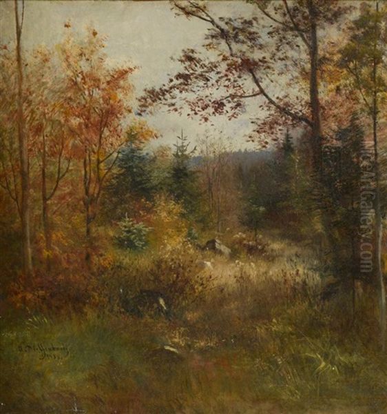 Sous-bois En Automne Oil Painting by Anton Heinrich Dieffenbach