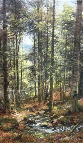 In A Forest Oil Painting by Anton Heinrich Dieffenbach