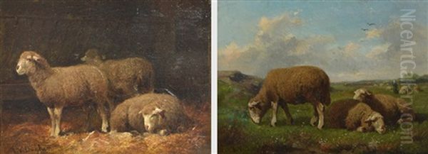 A Pair Of Oils On Panel, Interior And Outside Sheep Studies Oil Painting by Joseph van Diegham