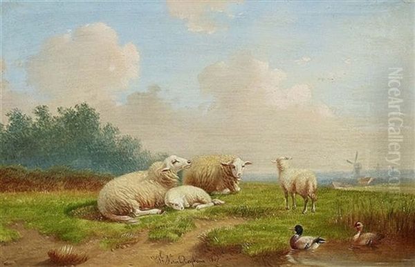 Sheep And Ducks In Dutch Landscape Oil Painting by Joseph Van Dieghem