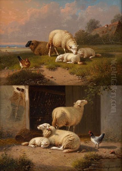 Moutons Au Paturage Et Moutons Dans La Bergerie (2 Works) Oil Painting by Joseph Van Dieghem