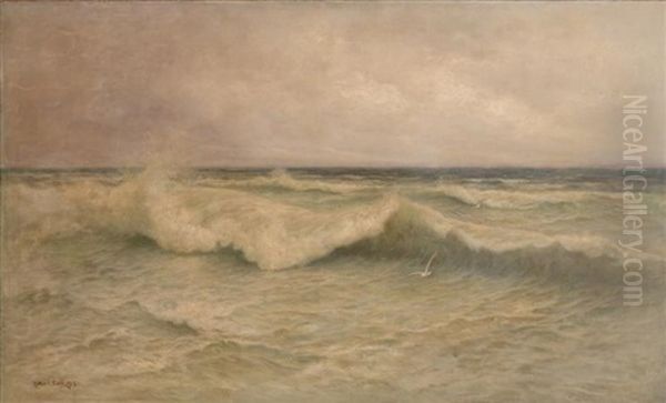 Seascape With Gulls Oil Painting by Arthur Vidal Diehl