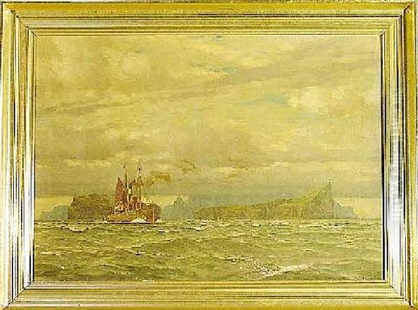 Dampfschiff Auf See Vor Der Kuste Islands Oil Painting by Michael Zeno Diemer