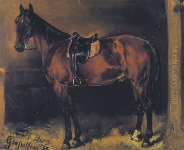 Brauner Wallach Gesattelt Im Stall Oil Painting by Wilhelm Von Diez