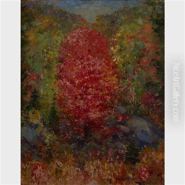 Red Maple Oil Painting by Mary Ella Dignam