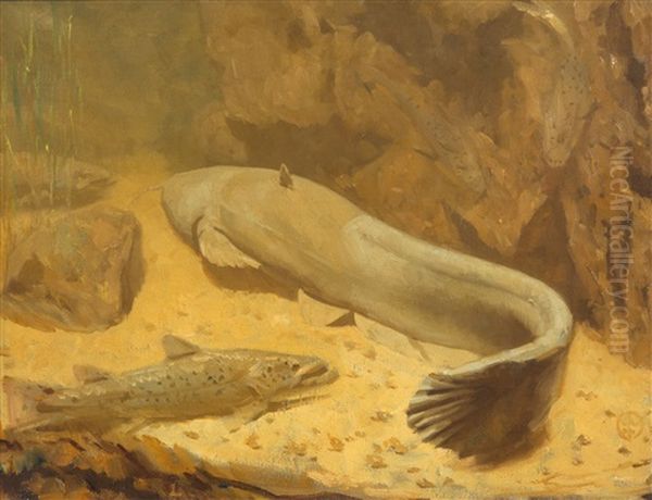 A Catfish And Pike Oil Painting by Gerrit Willem Dijsselhof