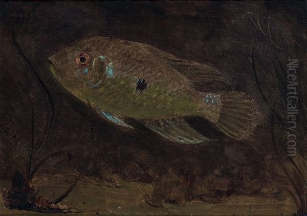 A Parrot Fish Oil Painting by Gerrit Willem Dijsselhof