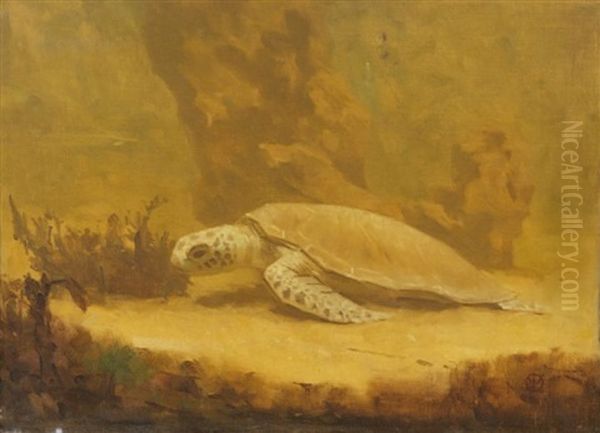 Tortue Oil Painting by Gerrit Willem Dijsselhof