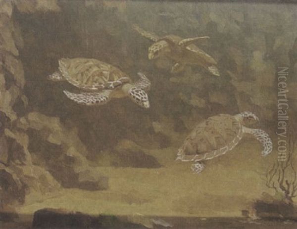 Schildpadden Oil Painting by Gerrit Willem Dijsselhof