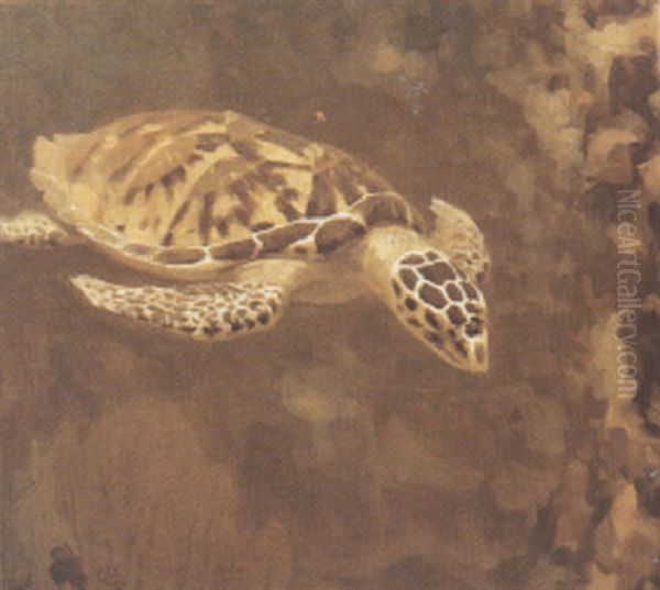 Tortue D'eau Oil Painting by Gerrit Willem Dijsselhof