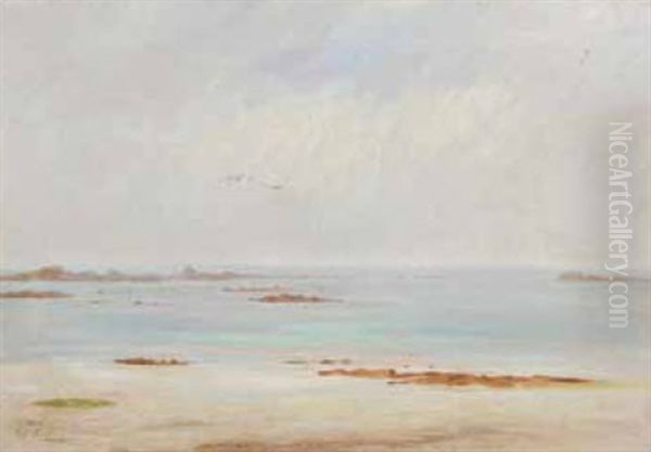 Plage, Maree Basse Oil Painting by Charles Alfred Diligeon