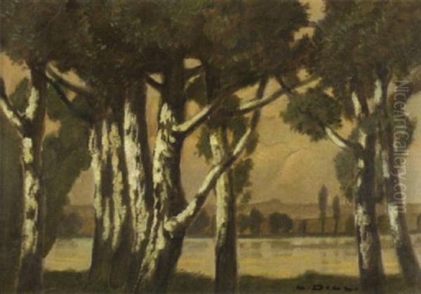 Birken Am See Im Abendlicht Oil Painting by Ludwig Dill