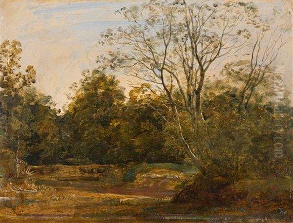 Herbstliche Parklandschaft Oil Painting by Georg Maximilian Johann Von Dillis