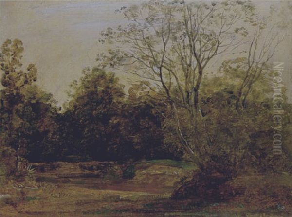 Lichtung Im Wald Oil Painting by Georg Maximilian Johann Von Dillis