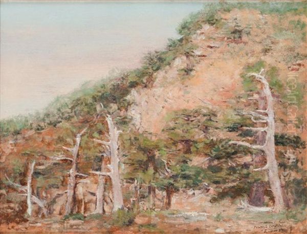 Cedres De Djurdjura, Kabylie Oil Painting by Alphonse Etienne Dinet