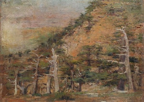 Les Cedres De Asila Oil Painting by Alphonse Etienne Dinet