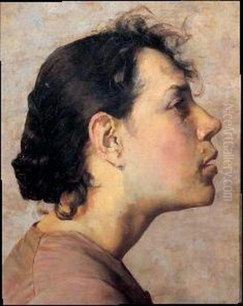 Profilo Di Donna Oil Painting by Antonio Argnani