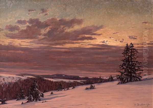 Winterabend Am Feldberg (winter Evening At Feldberg) Oil Painting by Hermann Dischler